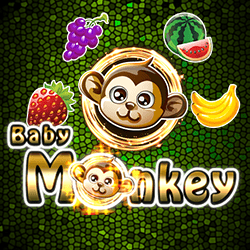 Baby Monkey – Ameba