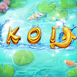 Koi – Ameba