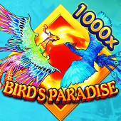 Bird's Paradise - Flying Tiger – BT Gaming