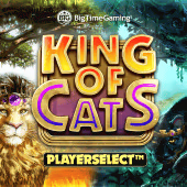 King of Cats by Big Time Gaming