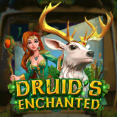 Druid's Enchanted by Gameplay Interactive