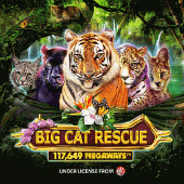 Big Cat Rescue Megaways™ by Red Tiger